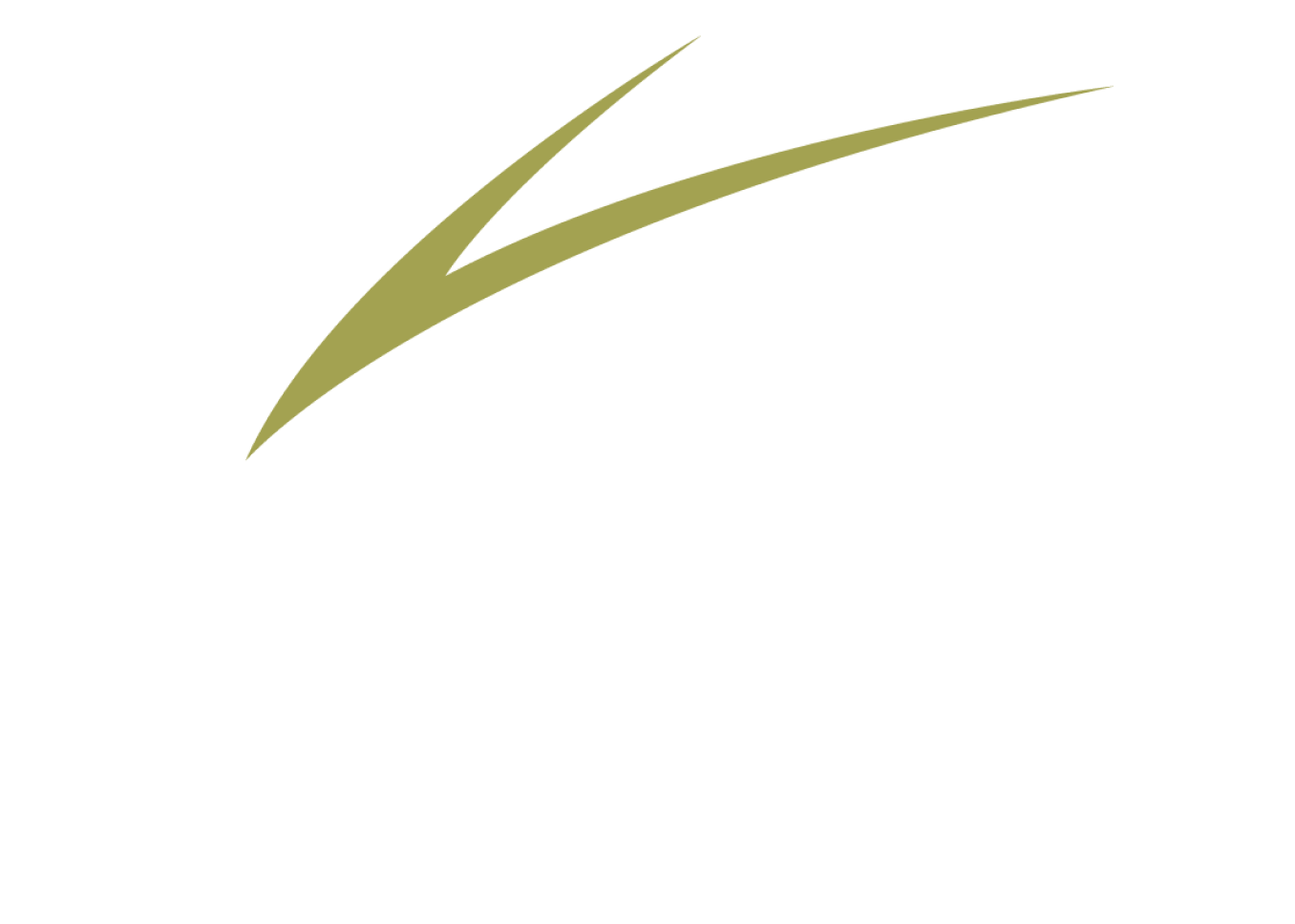 Pintail Completions
